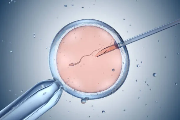 ivf frequently asked questions