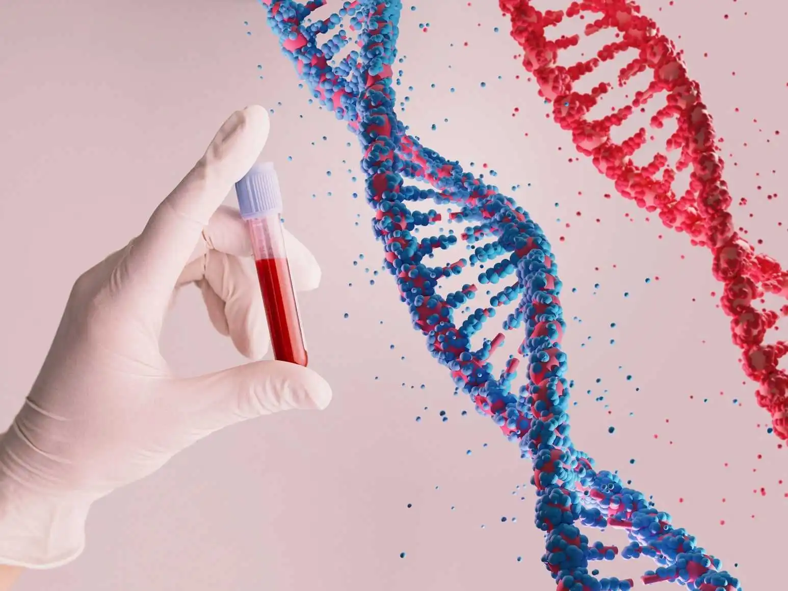 DNA test cost in Riyadh